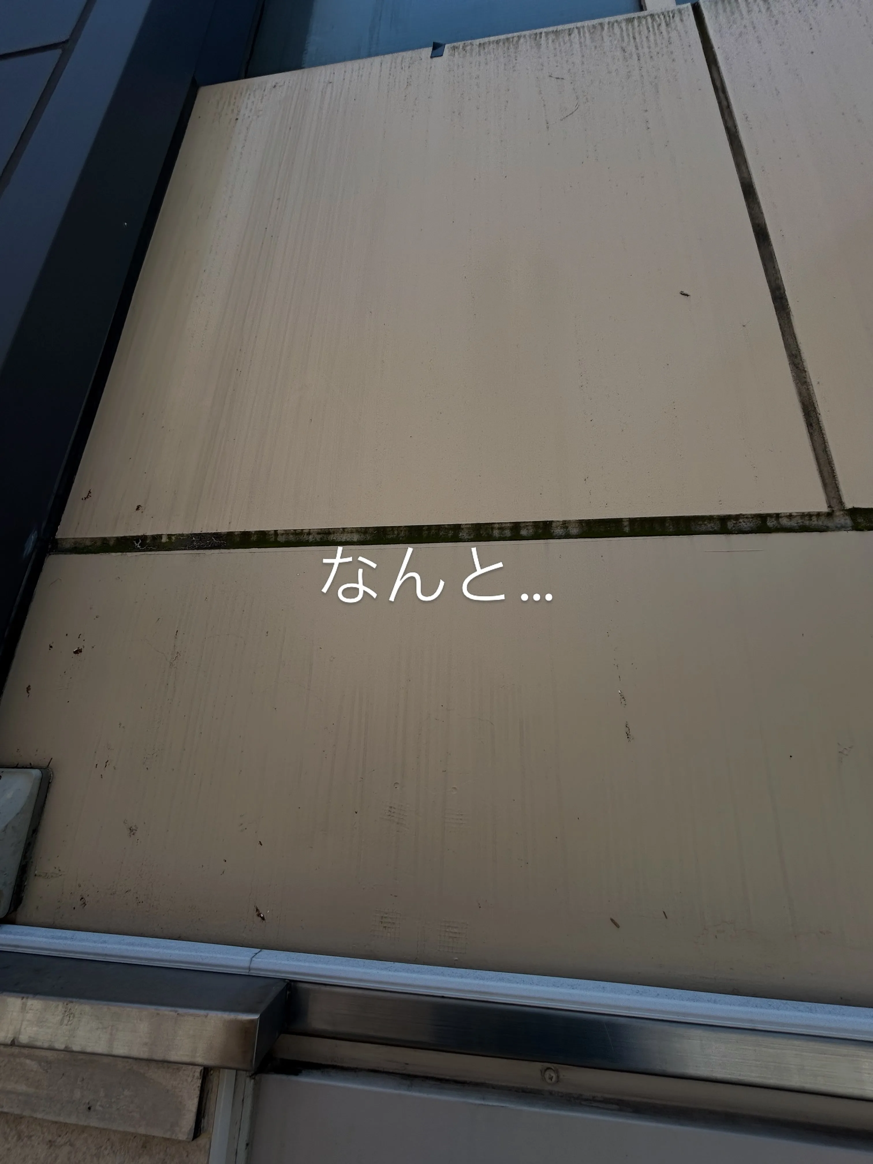 熊本市内でのご縁✨